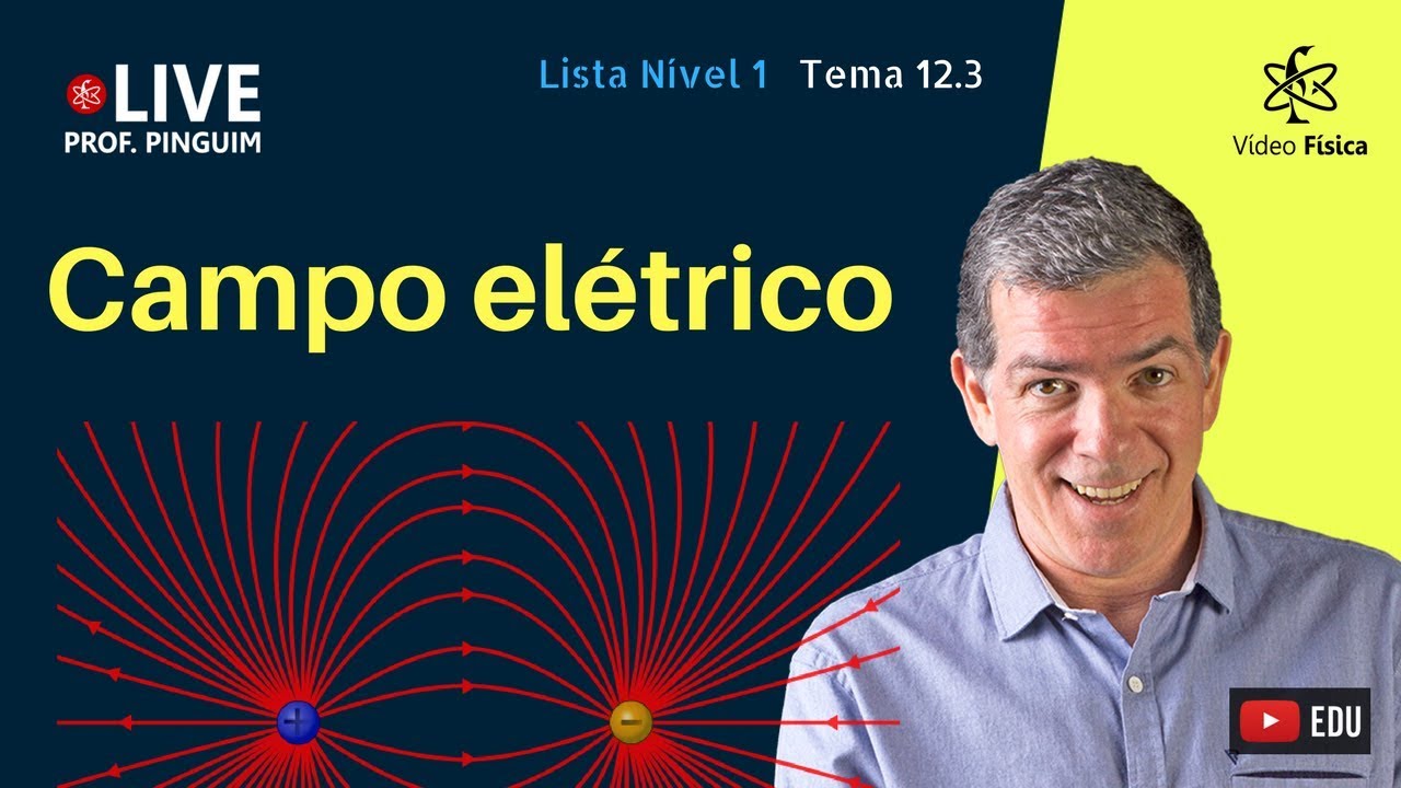 Como Calcular Campo Eletrico Exercicios Resolvidos - Templates ...